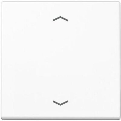 JUNG, Accessoires Gamme d'interrupteurs, Bascule 2t Jalousie A aws glz flèches A101PBFWW - Publicité JUNG, Accessoires Gamme d'interrupteurs, Bascule 2t Jalousie A aws glz flèches A101PBFWW - Publicité