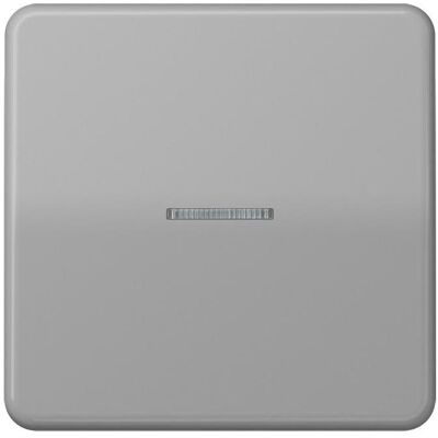 JUNG CD10911STRFGR Bouton-poussoir KNX RF, Bouton + interrupteur, Gris - Publicité JUNG CD10911STRFGR Bouton-poussoir KNX RF, Bouton + interrupteur, Gris - Publicité