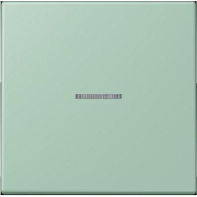 JUNG, Accessoires Gamme d'interrupteurs, eNet Bouton-poussoir standard simple - Publicité JUNG, Accessoires Gamme d'interrupteurs, eNet Bouton-poussoir standard simple - Publicité