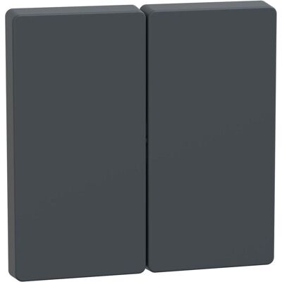 Accessoire d'interrupteur de design système Merten MEG3400-6034 - Anthracite - Publicité Accessoire d'interrupteur de design système Merten MEG3400-6034 - Anthracite - Publicité