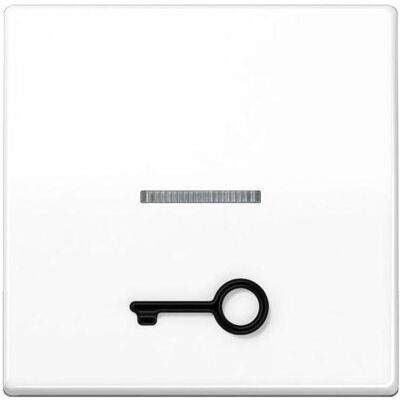 JUNG, Accessoires Gamme d'interrupteurs, Bascule de contrôle interrupteur AS aws glz AS591T1KO5WW - Publicité JUNG, Accessoires Gamme d'interrupteurs, Bascule de contrôle interrupteur AS aws glz AS591T1KO5WW - Publicité
