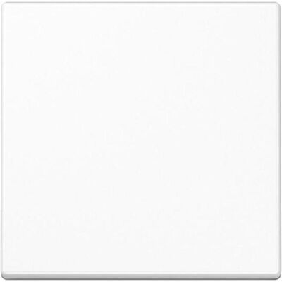 JUNG, Accessoires Gamme d'interrupteurs, Bascule Interrupteur Aws glz pour système de bus A101WW - Publicité JUNG, Accessoires Gamme d'interrupteurs, Bascule Interrupteur Aws glz pour système de bus A101WW - Publicité