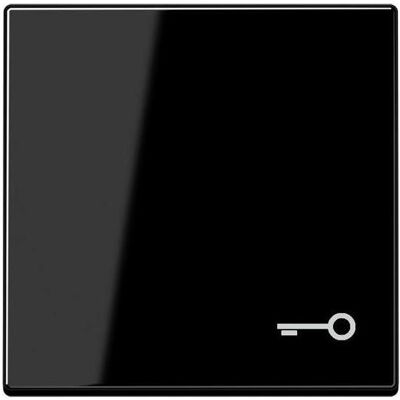 JUNG, Accessoires Gamme d'interrupteurs, bascule interrupteur A sw glz serrure/porte A590TSW - Publicité JUNG, Accessoires Gamme d'interrupteurs, bascule interrupteur A sw glz serrure/porte A590TSW - Publicité