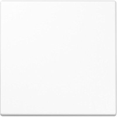 JUNG, Accessoires Gamme d'interrupteurs, Bascule pour bouton-poussoir LS101WW - Publicité JUNG, Accessoires Gamme d'interrupteurs, Bascule pour bouton-poussoir LS101WW - Publicité