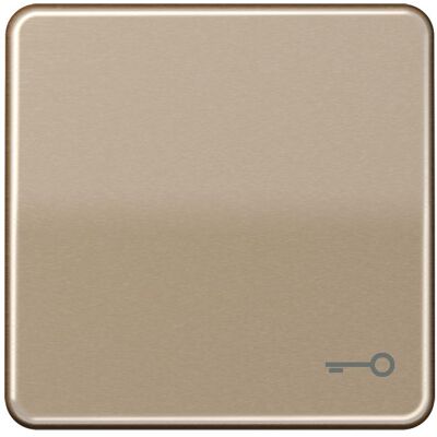 JUNG, Accessoires Gamme d'interrupteurs, Bascule interrupteur CD go/brz glz serrure/porte CD590TGB - Publicité JUNG, Accessoires Gamme d'interrupteurs, Bascule interrupteur CD go/brz glz serrure/porte CD590TGB - Publicité