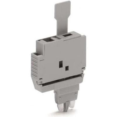 Wago Fiches de sécurité. 2004-911 pour fusible G 5x20mm 6,1mm (Outils), Câble : accessoires, Gris - Publicité Wago Fiches de sécurité. 2004-911 pour fusible G 5x20mm 6,1mm (Outils), Câble : accessoires, Gris - Publicité