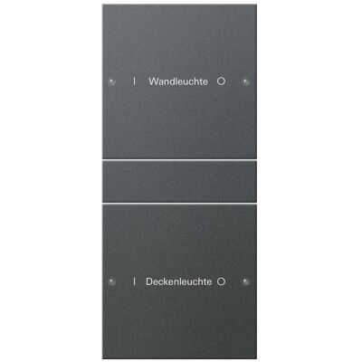 Gira Modèle 220228 - Ensemble de Poussoirs 2 Modules Système 55 - Publicité Gira Modèle 220228 - Ensemble de Poussoirs 2 Modules Système 55 - Publicité
