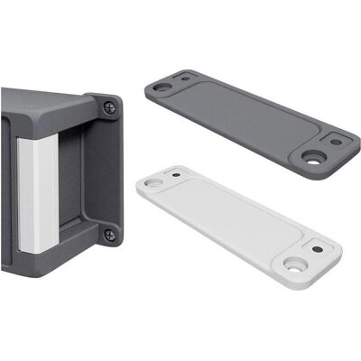 Bopla Support mural (L x l x H) 130 x 40 x 8 mm BA WL 13 7024 2 pcs. (Support de montage), Accessoires électroniques + boîtier, Gris - Publicité Bopla Support mural (L x l x H) 130 x 40 x 8 mm BA WL 13 7024 2 pcs. (Support de montage), Accessoires électroniques + boîtier, Gris - Publicité