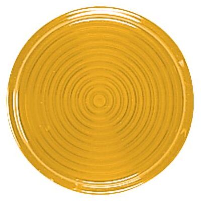 JUNG, Accessoires Gamme d'interrupteurs, Capot de rechange ge plat Gew 37.07 - Publicité JUNG, Accessoires Gamme d'interrupteurs, Capot de rechange ge plat Gew 37.07 - Publicité