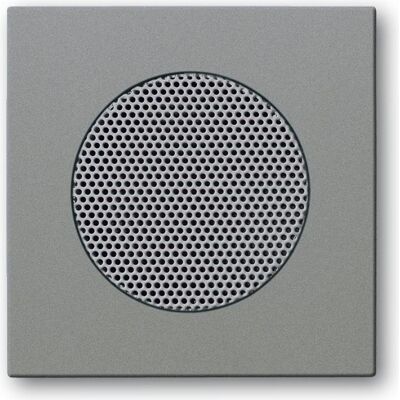 Busch-Jaeger Couvercle pour Haut-parleur Solo gris métallisé - Zentralscheibe meteor/gr - Couvercle pour Haut-parleur - Publicité Busch-Jaeger Couvercle pour Haut-parleur Solo gris métallisé - Zentralscheibe meteor/gr - Couvercle pour Haut-parleur - Publicité