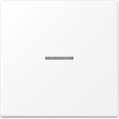 JUNG LS10911STRFWWM Bouton-poussoir KNX RF simple, Bouton + interrupteur, Blanc - Publicité JUNG LS10911STRFWWM Bouton-poussoir KNX RF simple, Bouton + interrupteur, Blanc - Publicité