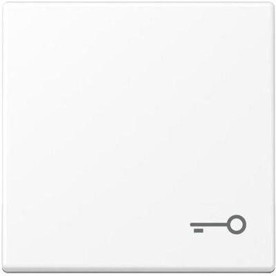 JUNG - A590TWWM - Bascule - Symbole porte - Interrupteur - Publicité JUNG - A590TWWM - Bascule - Symbole porte - Interrupteur - Publicité