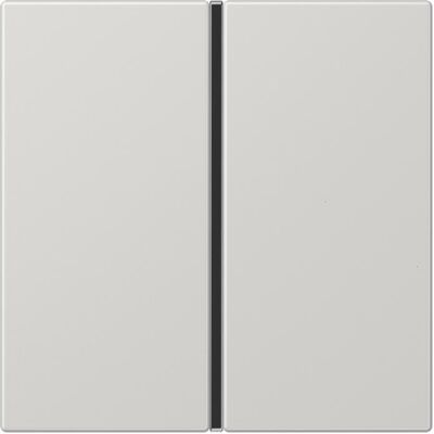 JUNG, Accessoires Gamme d'interrupteurs, Bascule 1t interrupteur LS lgr glz pour système de bus LS401TSALG - Publicité JUNG, Accessoires Gamme d'interrupteurs, Bascule 1t interrupteur LS lgr glz pour système de bus LS401TSALG - Publicité