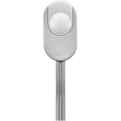 somfy, Moteur électrique, 1241568 Dexxo Smart 1000 io - Publicité somfy, Moteur électrique, 1241568 Dexxo Smart 1000 io - Publicité