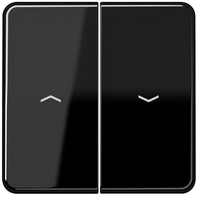 JUNG, Accessoires Gamme d'interrupteurs, CD 595 P SW - Publicité JUNG, Accessoires Gamme d'interrupteurs, CD 595 P SW - Publicité