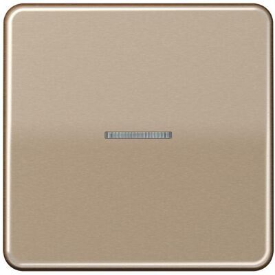 Interrupteur RF KNX JUNG - Bronze anodisé en aluminium - Modèle CD10911STRFGB - Publicité Interrupteur RF KNX JUNG - Bronze anodisé en aluminium - Modèle CD10911STRFGB - Publicité