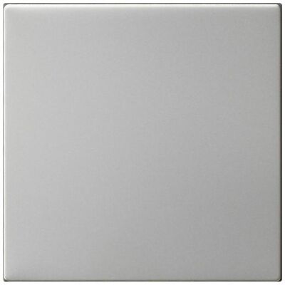 Gira - 5372600 - acier inoxydable - non imprimé - rocker switch - Publicité Gira - 5372600 - acier inoxydable - non imprimé - rocker switch - Publicité