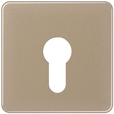 JUNG Commutateur clé/carte CD brz glz CD525GB, Bouton + interrupteur, Bronze - Publicité JUNG Commutateur clé/carte CD brz glz CD525GB, Bouton + interrupteur, Bronze - Publicité