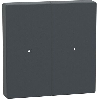 Schneider, Accessoires Gamme d'interrupteurs, Bascules pour module bouton-poussoir double, anthracite, système M MTN625214 - Publicité Schneider, Accessoires Gamme d'interrupteurs, Bascules pour module bouton-poussoir double, anthracite, système M MTN625214 - Publicité