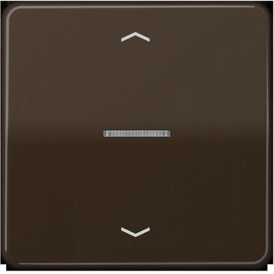 JUNG, Interrupteurs éclairage + volets électriques, BTCD17101PBR HOME Bouton-poussoir simple - Publicité JUNG, Interrupteurs éclairage + volets électriques, BTCD17101PBR HOME Bouton-poussoir simple - Publicité