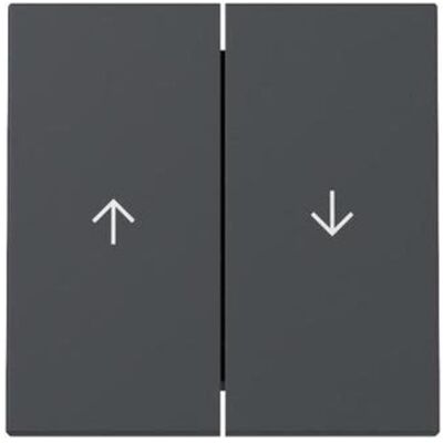 Gira, Accessoires Gamme d'interrupteurs, Bascule 2f Flèche Système 55 329428 Anthracite - Publicité Gira, Accessoires Gamme d'interrupteurs, Bascule 2f Flèche Système 55 329428 Anthracite - Publicité