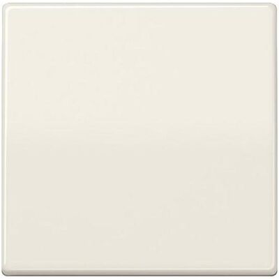 JUNG, Accessoires Gamme d'interrupteurs, Bascule interrupteur AS ws glz AS591BFS - Publicité JUNG, Accessoires Gamme d'interrupteurs, Bascule interrupteur AS ws glz AS591BFS - Publicité