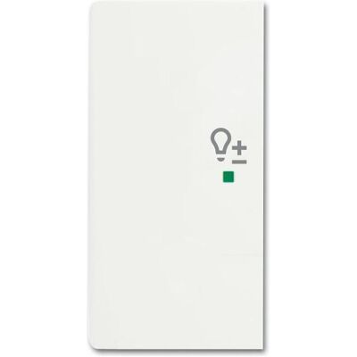 Busch-Jaeger, Accessoires Gamme d'interrupteurs, Busch-Jäger Bascule double gauche, avec symbole "Dimmer" 6234-21-884 - Publicité Busch-Jaeger, Accessoires Gamme d'interrupteurs, Busch-Jäger Bascule double gauche, avec symbole "Dimmer" 6234-21-884 - Publicité