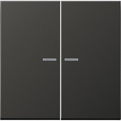 JUNG AL10921STRFAN Bouton-poussoir KNX RF, Bouton + interrupteur, Gris - Publicité JUNG AL10921STRFAN Bouton-poussoir KNX RF, Bouton + interrupteur, Gris - Publicité