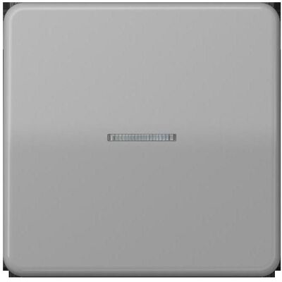 JUNG, Interrupteurs éclairage + volets électriques, BTCD17101GR HOME Bouton-poussoir simple - Publicité JUNG, Interrupteurs éclairage + volets électriques, BTCD17101GR HOME Bouton-poussoir simple - Publicité