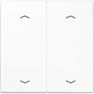 JUNG, Accessoires Gamme d'interrupteurs, Bascule Symboles aws pour bouton-poussoir double LS 995 MP WW - Publicité JUNG, Accessoires Gamme d'interrupteurs, Bascule Symboles aws pour bouton-poussoir double LS 995 MP WW - Publicité