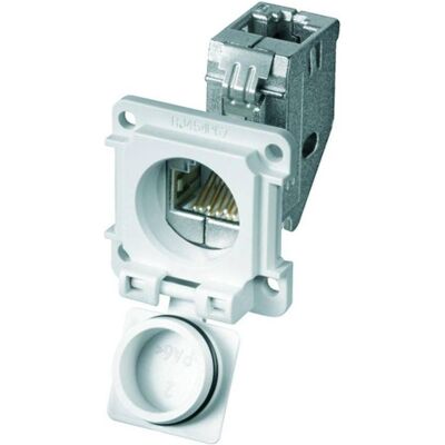 Connecteur Réseau Weidmüller IE-XM-6U-RJ45/RJ45-IP67 - IP67, Cat.6 - Publicité Connecteur Réseau Weidmüller IE-XM-6U-RJ45/RJ45-IP67 - IP67, Cat.6 - Publicité