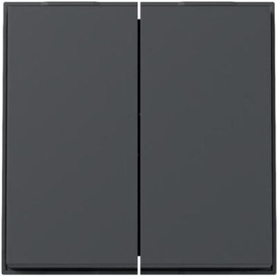 Gira, Accessoire d'interrupteur, TX 44 (WG UP) 329567, Anthracite - Publicité Gira, Accessoire d'interrupteur, TX 44 (WG UP) 329567, Anthracite - Publicité