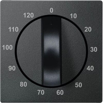Merten, Accessoires Gamme d'interrupteurs, Plaque centrale pour insert d'interrupteur horaire 539214 - Publicité Merten, Accessoires Gamme d'interrupteurs, Plaque centrale pour insert d'interrupteur horaire 539214 - Publicité