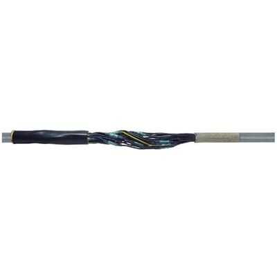 CellPack, Gaine thermorétractable, Joint rétractable SMH 7/10 1,5-2,5 7x1,5-10x1,5qmm, joint 1kV/joint de transition (1x) - Publicité CellPack, Gaine thermorétractable, Joint rétractable SMH 7/10 1,5-2,5 7x1,5-10x1,5qmm, joint 1kV/joint de transition (1x) - Publicité
