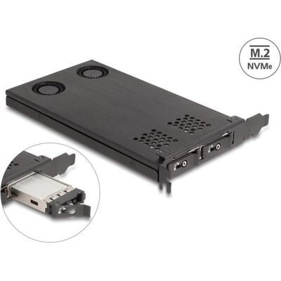 Delock Carte PCI Express x16 Cadre amovible pour 2 x M.2 NVMe, Contrôleur mémoire - Publicité Delock Carte PCI Express x16 Cadre amovible pour 2 x M.2 NVMe, Contrôleur mémoire - Publicité