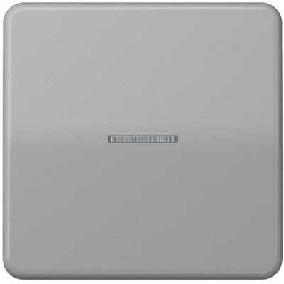 JUNG, Accessoires Gamme d'interrupteurs, Interrupteur à bascule de contrôle CD gr glz CD590KO5GR - Publicité JUNG, Accessoires Gamme d'interrupteurs, Interrupteur à bascule de contrôle CD gr glz CD590KO5GR - Publicité