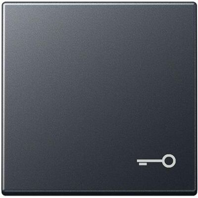 JUNG, Accessoires Gamme d'interrupteurs, Bascule interrupteur A anthracite avec serrure/porte A590BFTANM - Publicité JUNG, Accessoires Gamme d'interrupteurs, Bascule interrupteur A anthracite avec serrure/porte A590BFTANM - Publicité