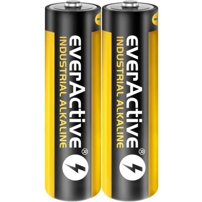 Everactive Industrial LR6/AA Alkaline Batterien 2 Stück (2 pcs, AA, 2700 mAh), Batteries + piles - Publicité Everactive Industrial LR6/AA Alkaline Batterien 2 Stück (2 pcs, AA, 2700 mAh), Batteries + piles - Publicité