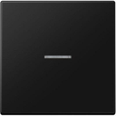 JUNG LS10911STRFSWM Bouton-poussoir KNX RF simple, Bouton + interrupteur, Gris - Publicité JUNG LS10911STRFSWM Bouton-poussoir KNX RF simple, Bouton + interrupteur, Gris - Publicité