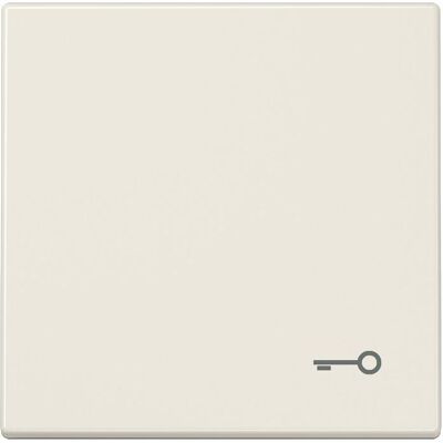 JUNG, Accessoires Gamme d'interrupteurs, Bascule interrupteur LS ws glz serrure/porte LS990T - Publicité JUNG, Accessoires Gamme d'interrupteurs, Bascule interrupteur LS ws glz serrure/porte LS990T - Publicité