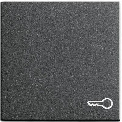 Gira, Accessoires Gamme d'interrupteurs, Bascule Symb. Porte Système 55 Anthracite 028728 - Publicité Gira, Accessoires Gamme d'interrupteurs, Bascule Symb. Porte Système 55 Anthracite 028728 - Publicité