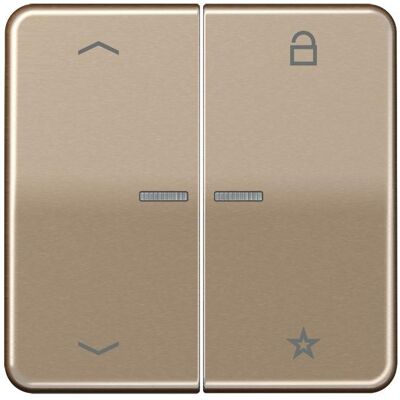 JUNG FM CD 1701 P GB eNet, Bouton + interrupteur, Bronze - Publicité JUNG FM CD 1701 P GB eNet, Bouton + interrupteur, Bronze - Publicité