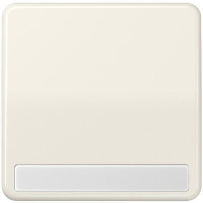 JUNG, Accessoires Gamme d'interrupteurs, Bascule interrupteur CD ws glz BSF CD590NABF - Publicité JUNG, Accessoires Gamme d'interrupteurs, Bascule interrupteur CD ws glz BSF CD590NABF - Publicité