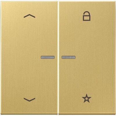 JUNG FM ME 1701 P C eNet, Bouton + interrupteur, Bronze - Publicité JUNG FM ME 1701 P C eNet, Bouton + interrupteur, Bronze - Publicité