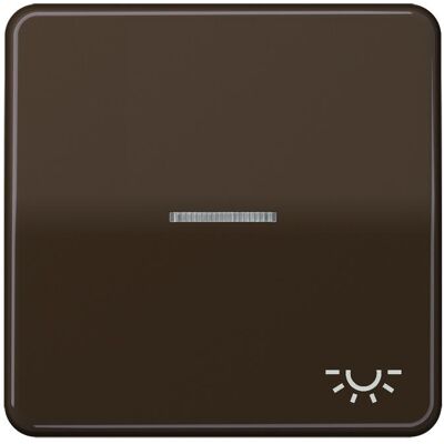 JUNG, Accessoires Gamme d'interrupteurs, Bascule de contrôle Interrupteur CD br glz lumière CD590KO5LBR - Publicité JUNG, Accessoires Gamme d'interrupteurs, Bascule de contrôle Interrupteur CD br glz lumière CD590KO5LBR - Publicité