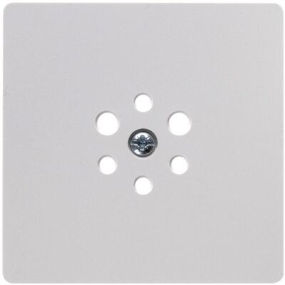 Berker, Accessoires Gamme d'interrupteurs, S1 Plaque centrale pour 14741909 prise 6 pôles blanc polaire brillant - Publicité Berker, Accessoires Gamme d'interrupteurs, S1 Plaque centrale pour 14741909 prise 6 pôles blanc polaire brillant - Publicité