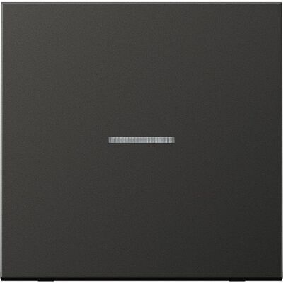 JUNG AL10911STRFAN Bouton-poussoir KNX RF, Bouton + interrupteur, Gris - Publicité JUNG AL10911STRFAN Bouton-poussoir KNX RF, Bouton + interrupteur, Gris - Publicité