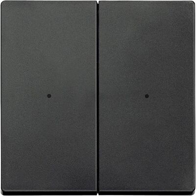 Merten, Accessoires Gamme d'interrupteurs, Bascules pour module bouton-poussoir double, anthracite, 625214 - Publicité Merten, Accessoires Gamme d'interrupteurs, Bascules pour module bouton-poussoir double, anthracite, 625214 - Publicité