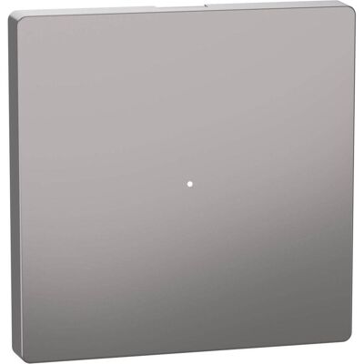 Merten, Accessoires Gamme d'interrupteurs, Bascule pour module bouton-poussoir simple, MEG5210-6050 - Publicité Merten, Accessoires Gamme d'interrupteurs, Bascule pour module bouton-poussoir simple, MEG5210-6050 - Publicité