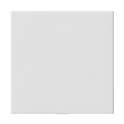 Gira, Accessoires Gamme d'interrupteurs, Couvercle aveugle sans anneau de support Système 55 blanc pur 810827 - Publicité Gira, Accessoires Gamme d'interrupteurs, Couvercle aveugle sans anneau de support Système 55 blanc pur 810827 - Publicité